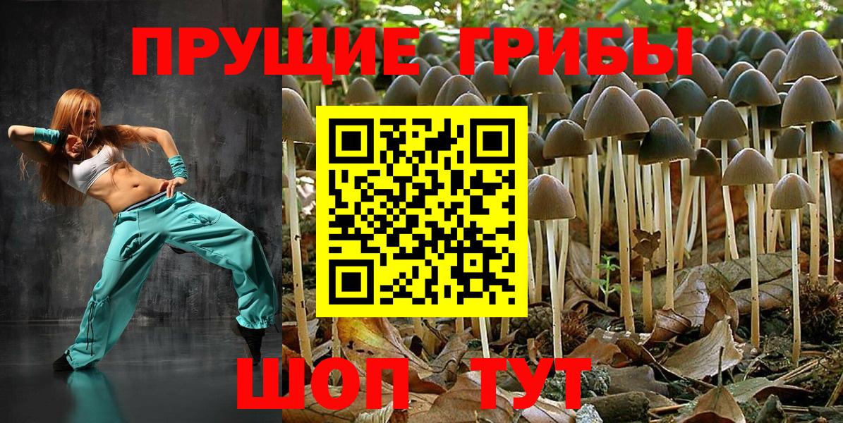 Галлюциногенные грибы Psilocybine cubensis  Вход с VPN  хочу наркоту  Междуреченск  Галлюциногенные грибы мухоморы 